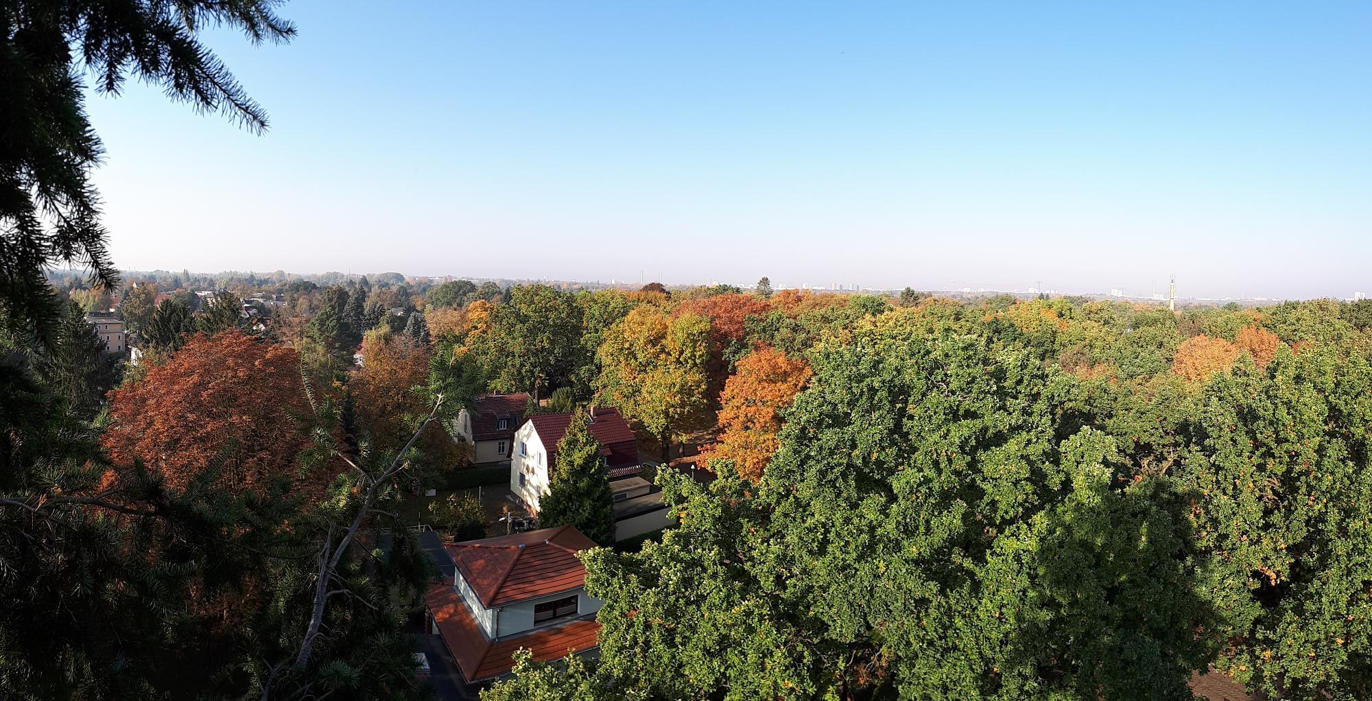 Arbor - Rund um den Baum, Arnsberger Straße in Berlin