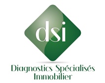 DSI Diagnostics Spécialisés Immobilier expert en immobilier