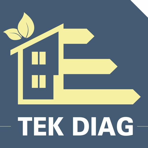 Tek Diag