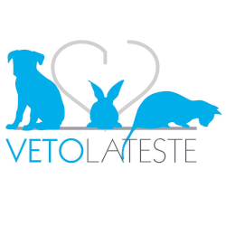 Clinique Vétérinaire De L'hippocampe vétérinaire (matériel et fournitures)