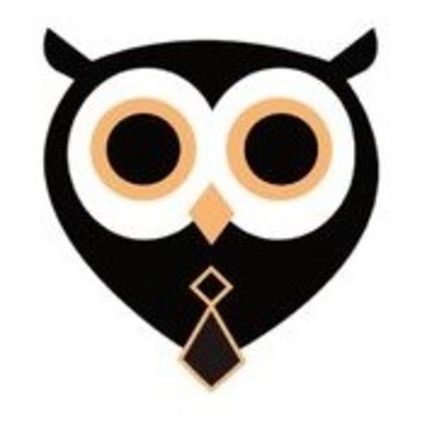 Hiboo Sécurité Privée EURL enquête et sécurité