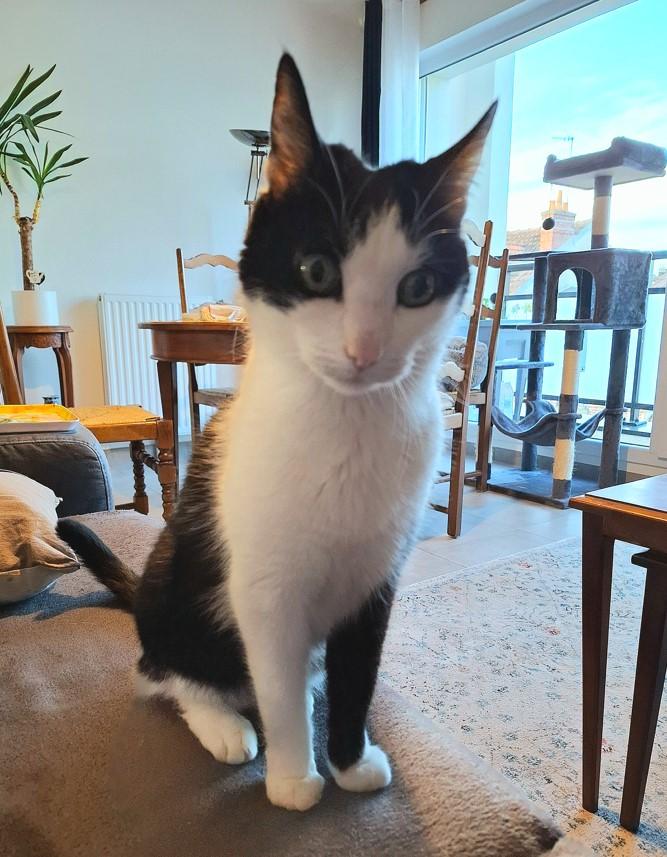 galerie image galerie image