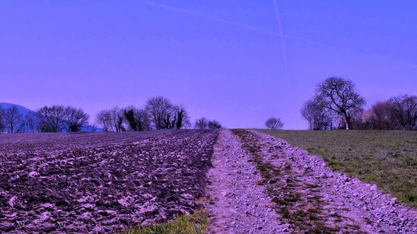 De Grieve Myriam psychologue