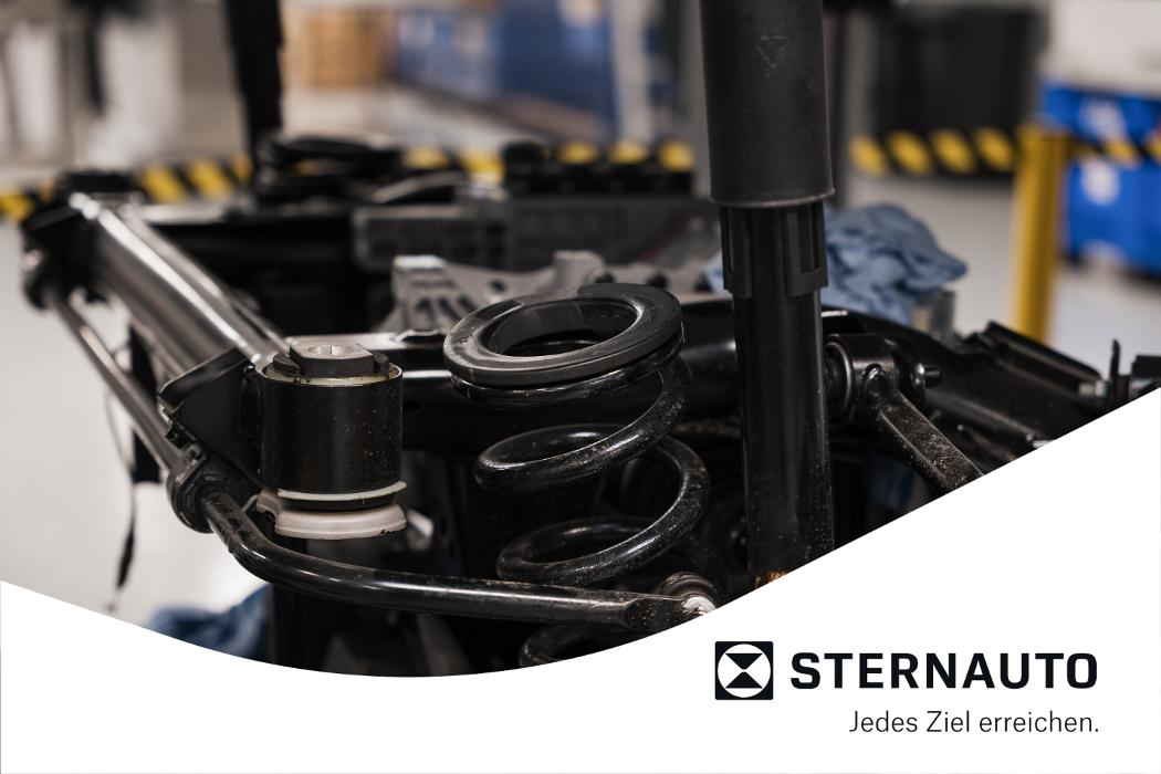 BYD Service - STERNAUTO, Langer Weg in Dresden