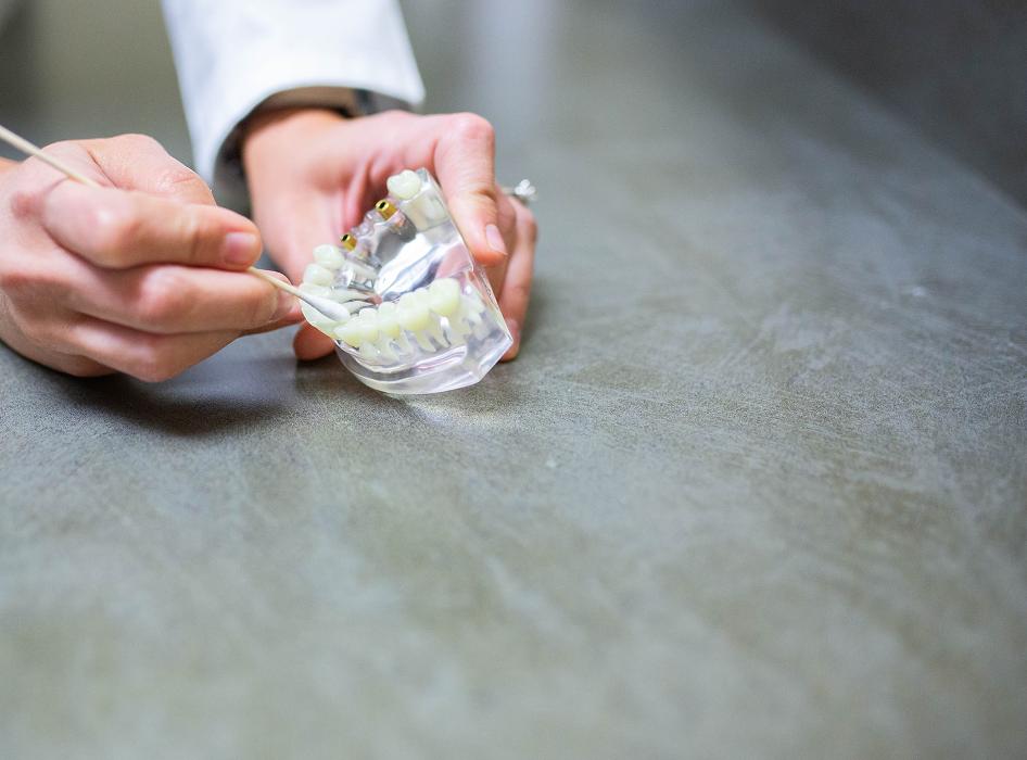 LakeView Dental Arts Image