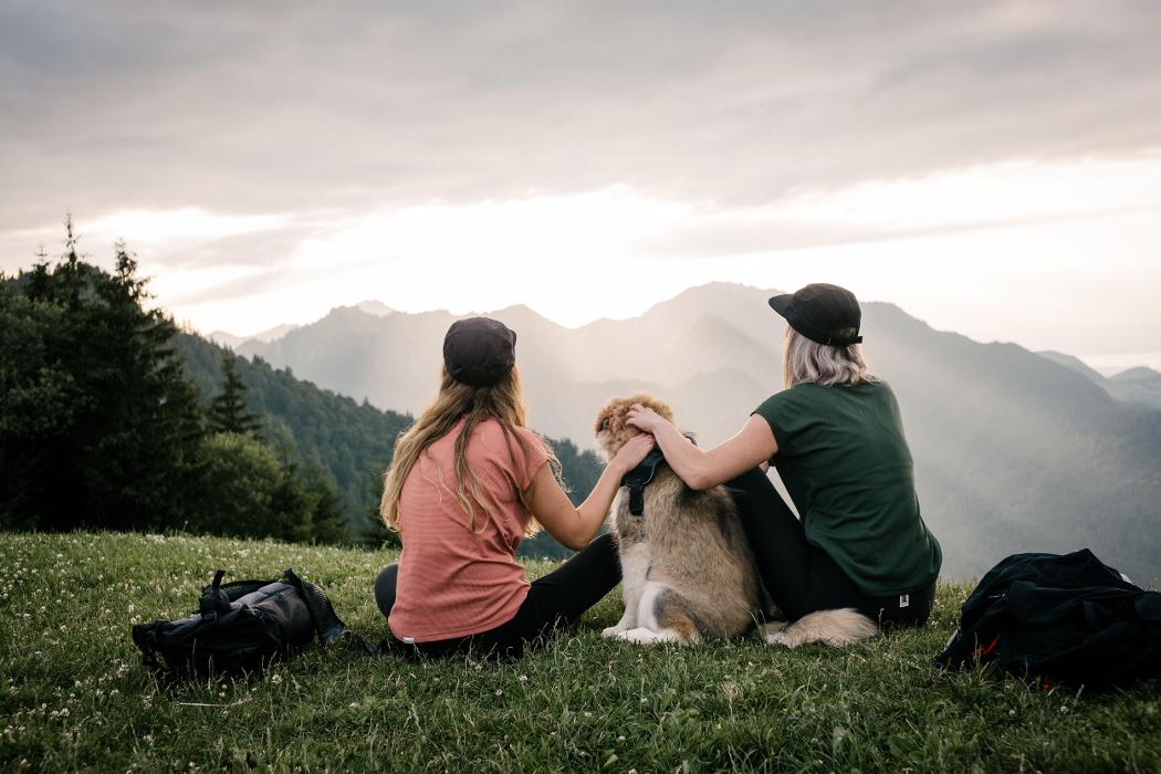 meine Bergwelt GmbH - Geschäftsstelle, Raffner Alm in Ruhpolding