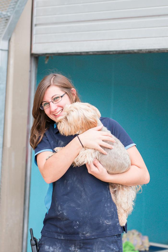 Lucy's Doggy Daycare and Spa - San Antonio, TX