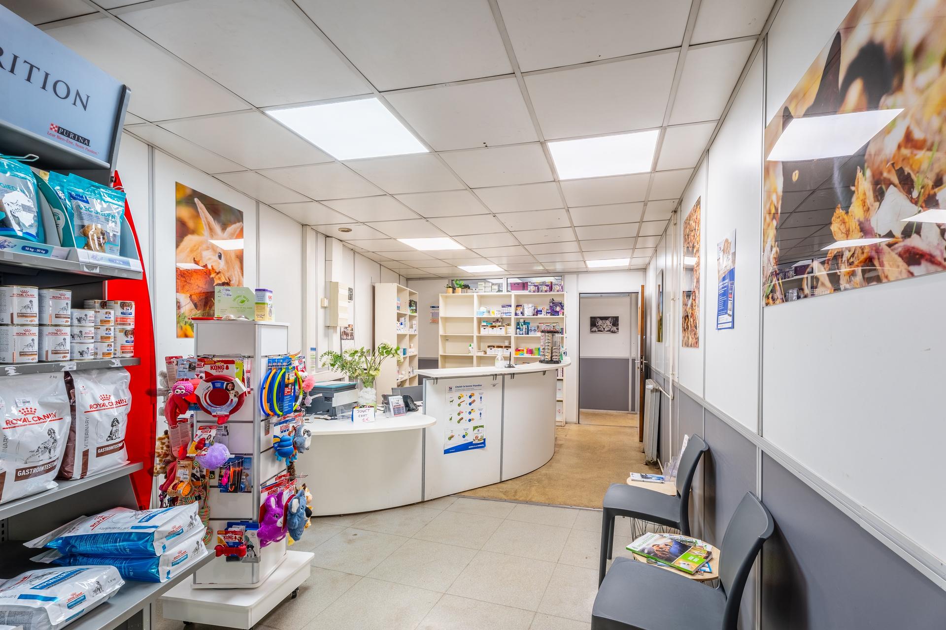 galerie image