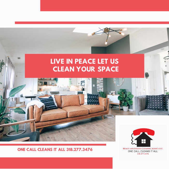 Realty and Commercial Cleaning Agency LLC Image