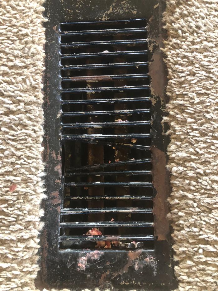 Realty and Commercial Cleaning Agency LLC Image