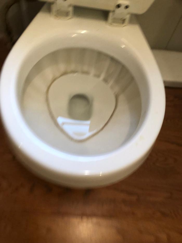 Realty and Commercial Cleaning Agency LLC Image