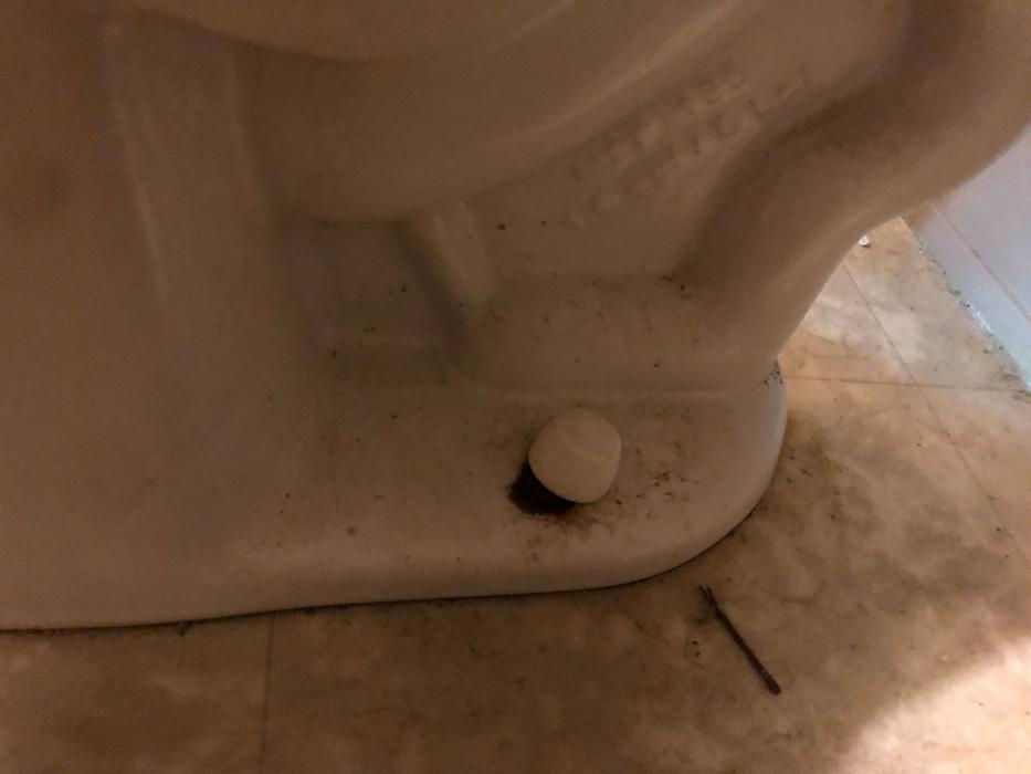 Realty and Commercial Cleaning Agency LLC Image