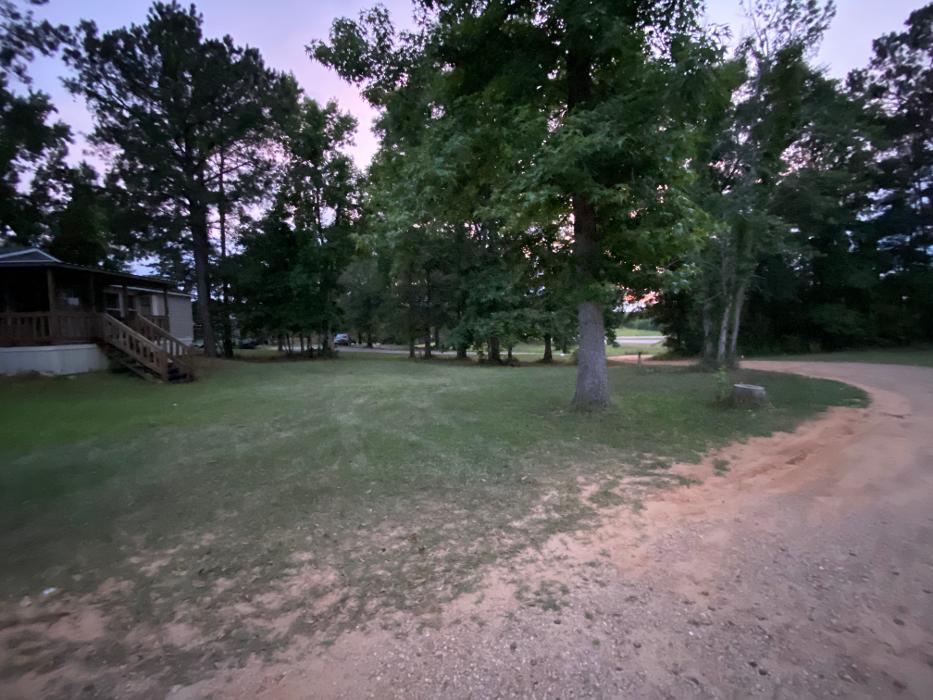 Realty and Commercial Cleaning Agency LLC Image