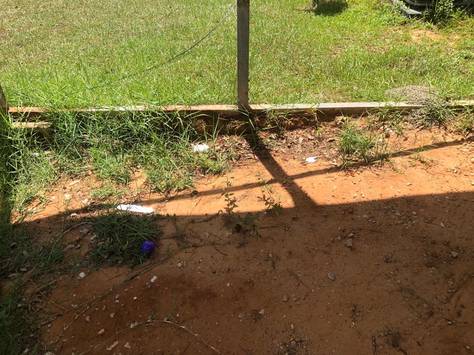 Realty and Commercial Cleaning Agency LLC Image