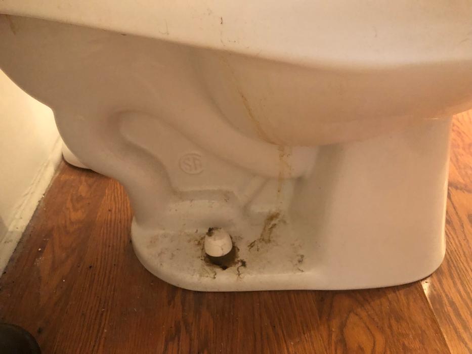 Realty and Commercial Cleaning Agency LLC Image