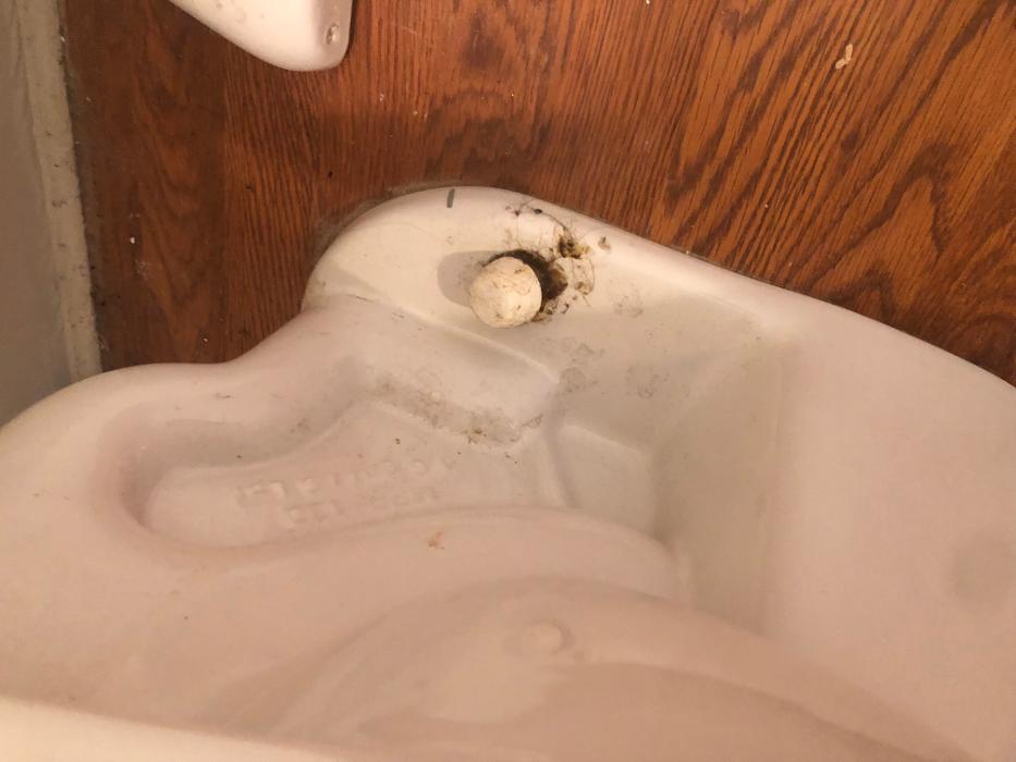 Realty and Commercial Cleaning Agency LLC Image