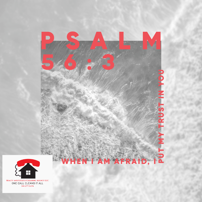 Realty and Commercial Cleaning Agency LLC Image