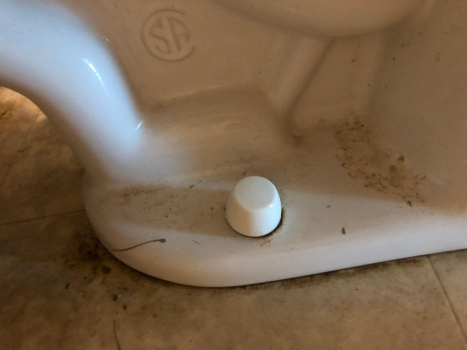 Realty and Commercial Cleaning Agency LLC Image