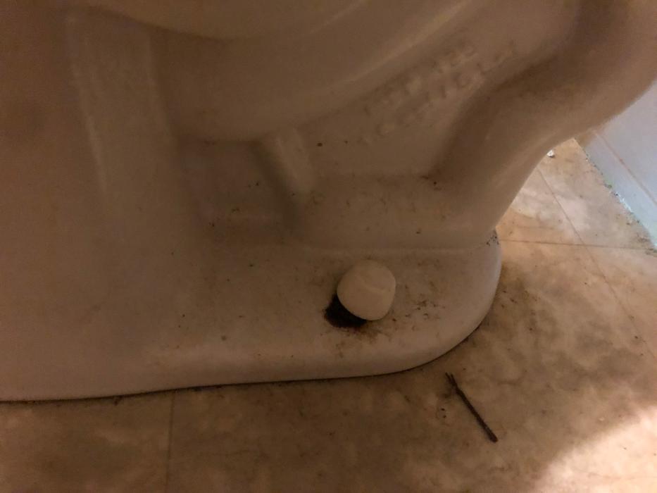 Realty and Commercial Cleaning Agency LLC Image