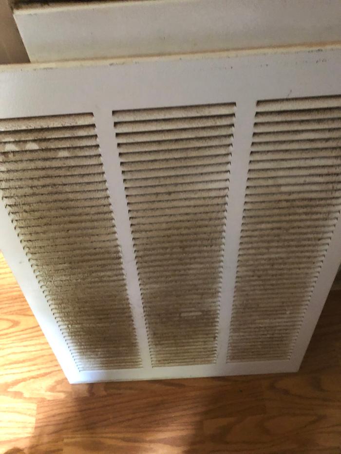 Realty and Commercial Cleaning Agency LLC Image