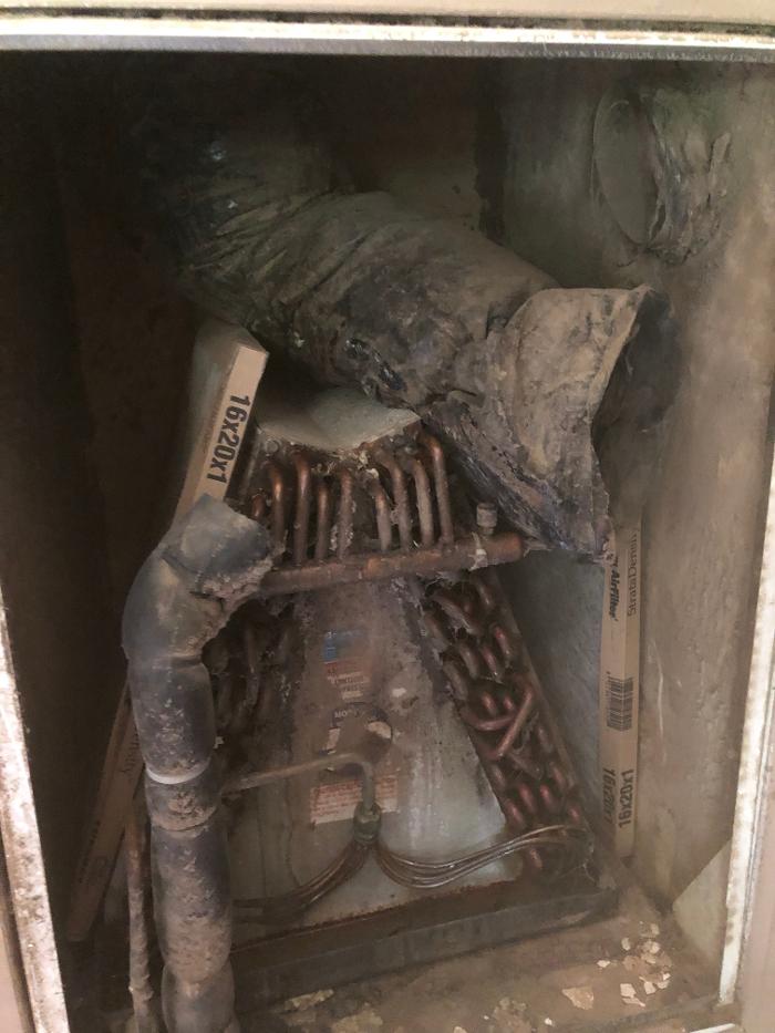 Realty and Commercial Cleaning Agency LLC Image