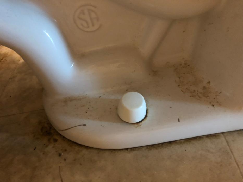 Realty and Commercial Cleaning Agency LLC Image