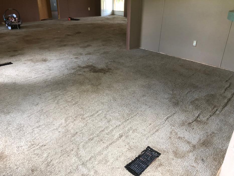 Realty and Commercial Cleaning Agency LLC Image