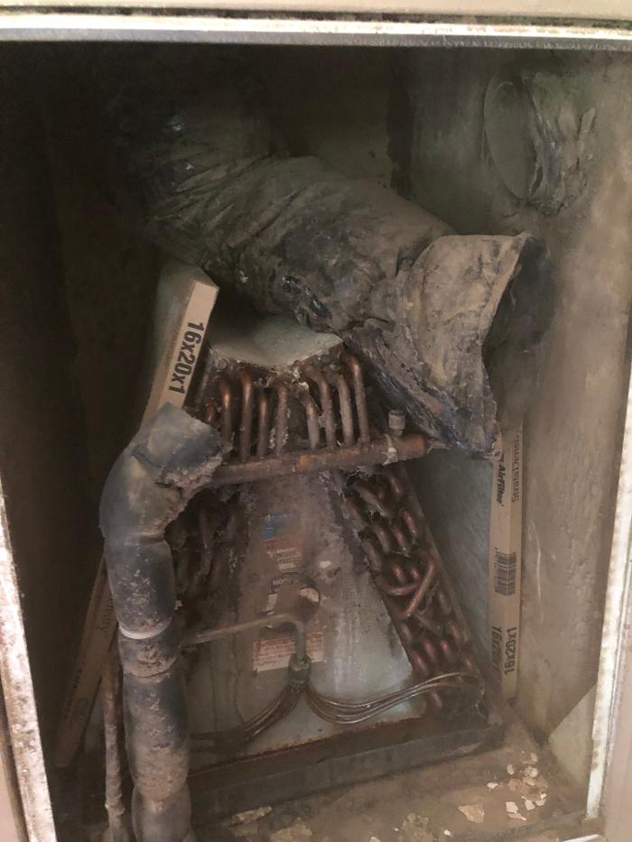 Realty and Commercial Cleaning Agency LLC Image