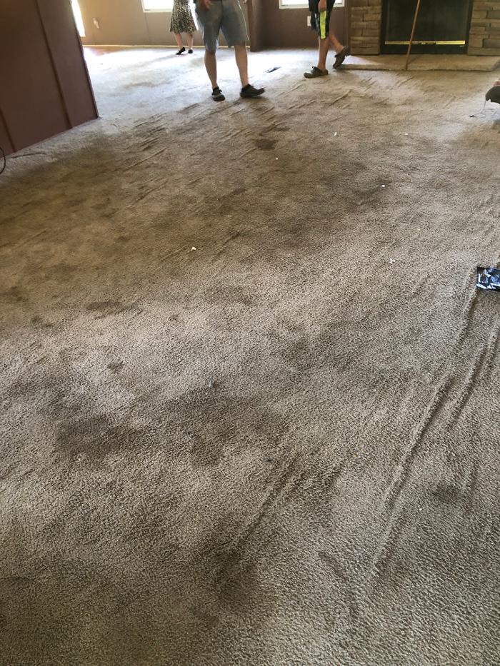 Realty and Commercial Cleaning Agency LLC Image