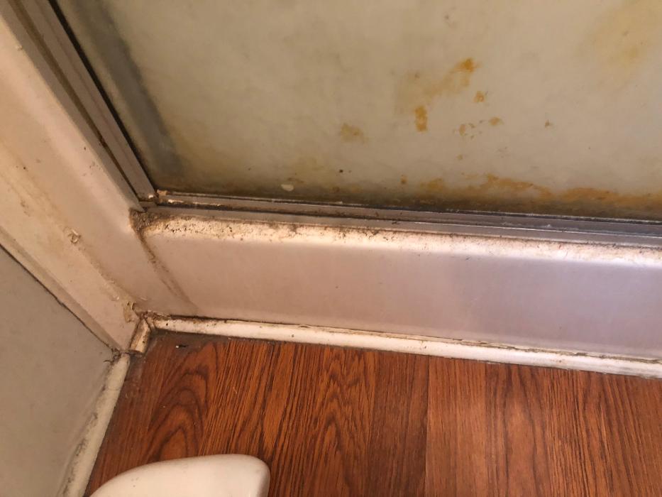 Realty and Commercial Cleaning Agency LLC Image