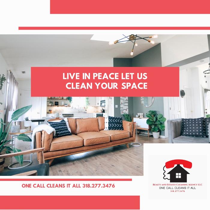 Realty and Commercial Cleaning Agency LLC Image