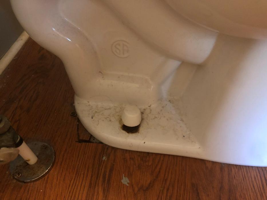 Realty and Commercial Cleaning Agency LLC Image