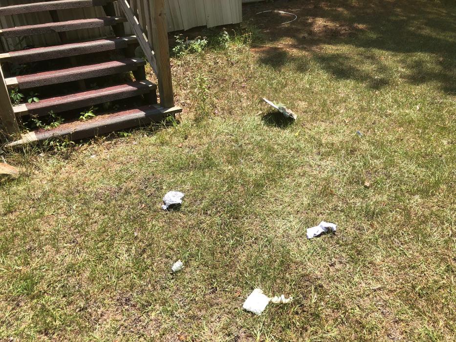 Realty and Commercial Cleaning Agency LLC Image