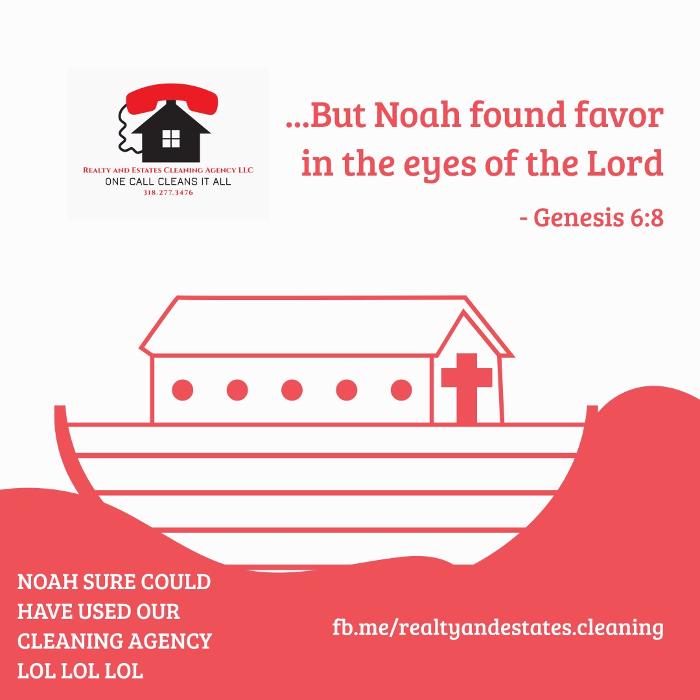 Realty and Commercial Cleaning Agency LLC Image