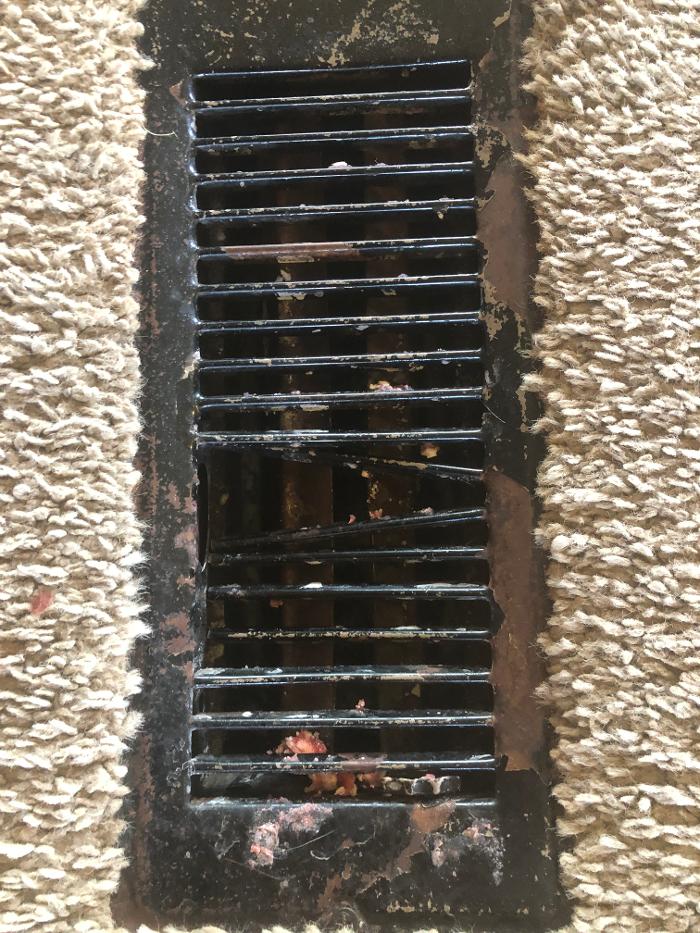 Realty and Commercial Cleaning Agency LLC Image