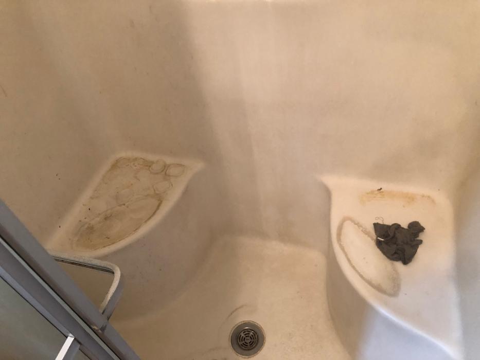 Realty and Commercial Cleaning Agency LLC Image