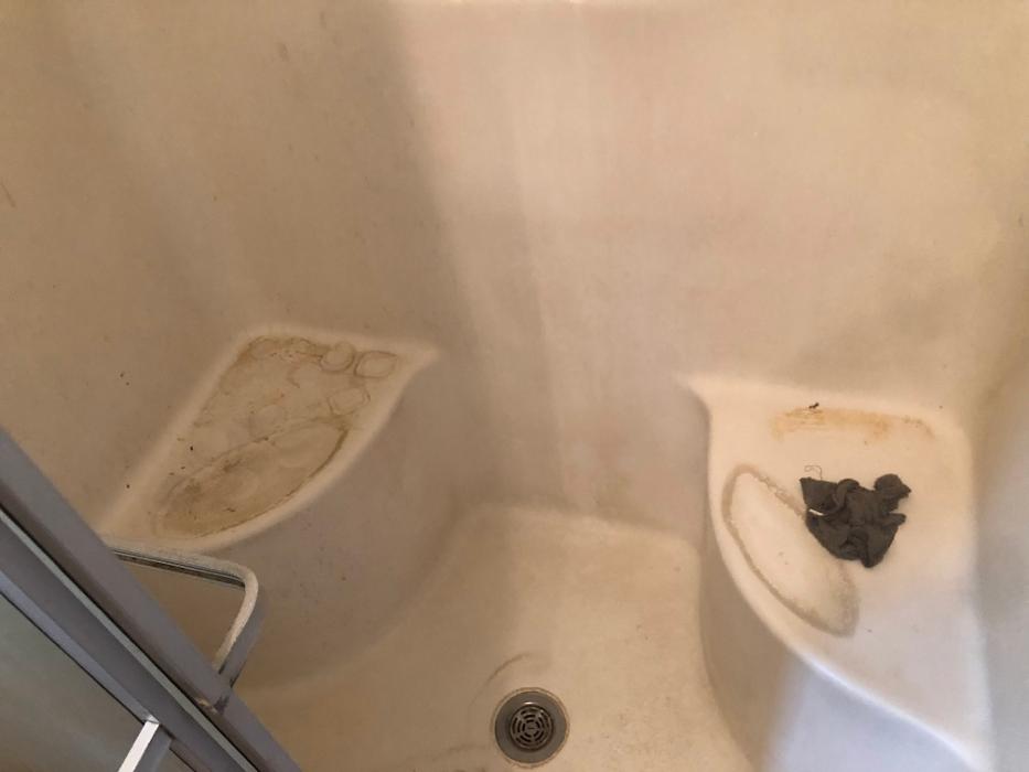 Realty and Commercial Cleaning Agency LLC Image