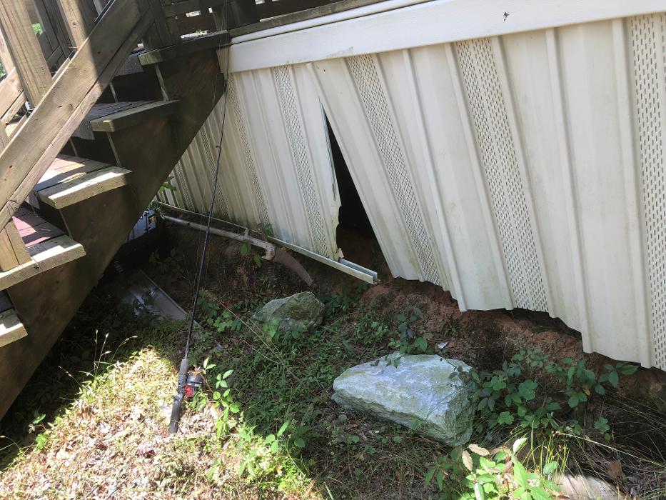 Realty and Commercial Cleaning Agency LLC Image