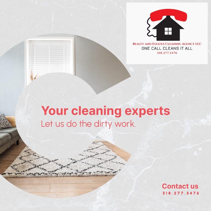 Realty and Commercial Cleaning Agency LLC Image