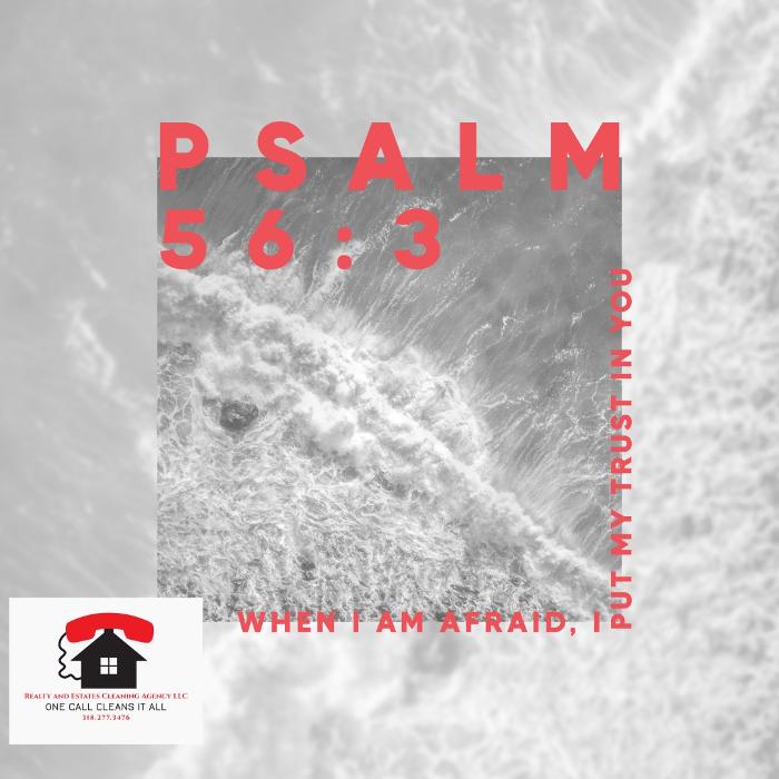 Realty and Commercial Cleaning Agency LLC Image