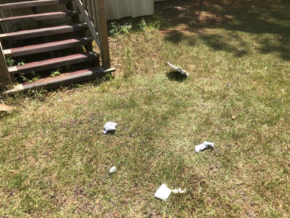 Realty and Commercial Cleaning Agency LLC Image