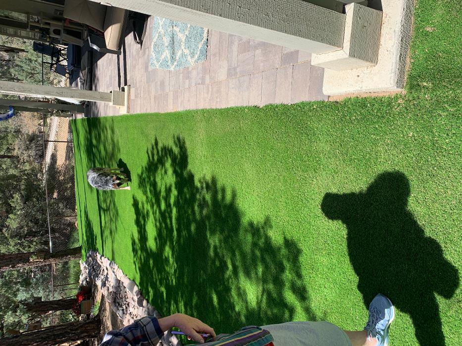 A. Montoya General Landscaping - Prescott Valley, AZ