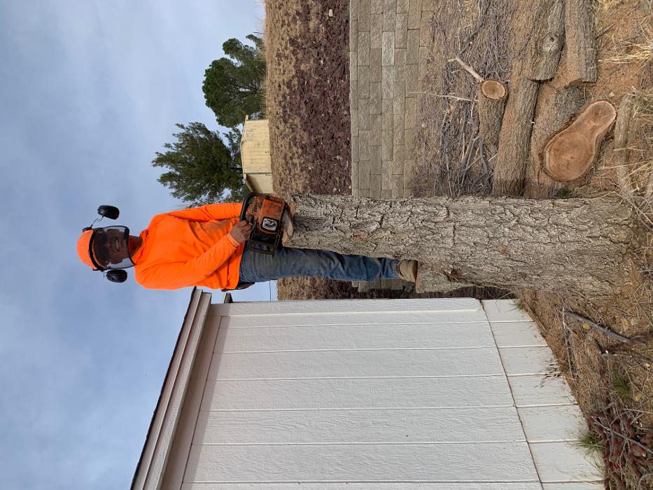 A. Montoya General Landscaping - Prescott Valley, AZ