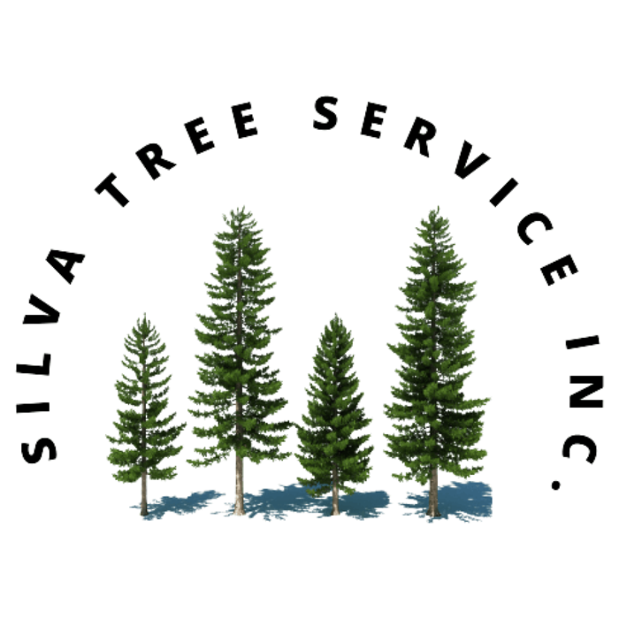 Silva Tree Services - Ossining, NY