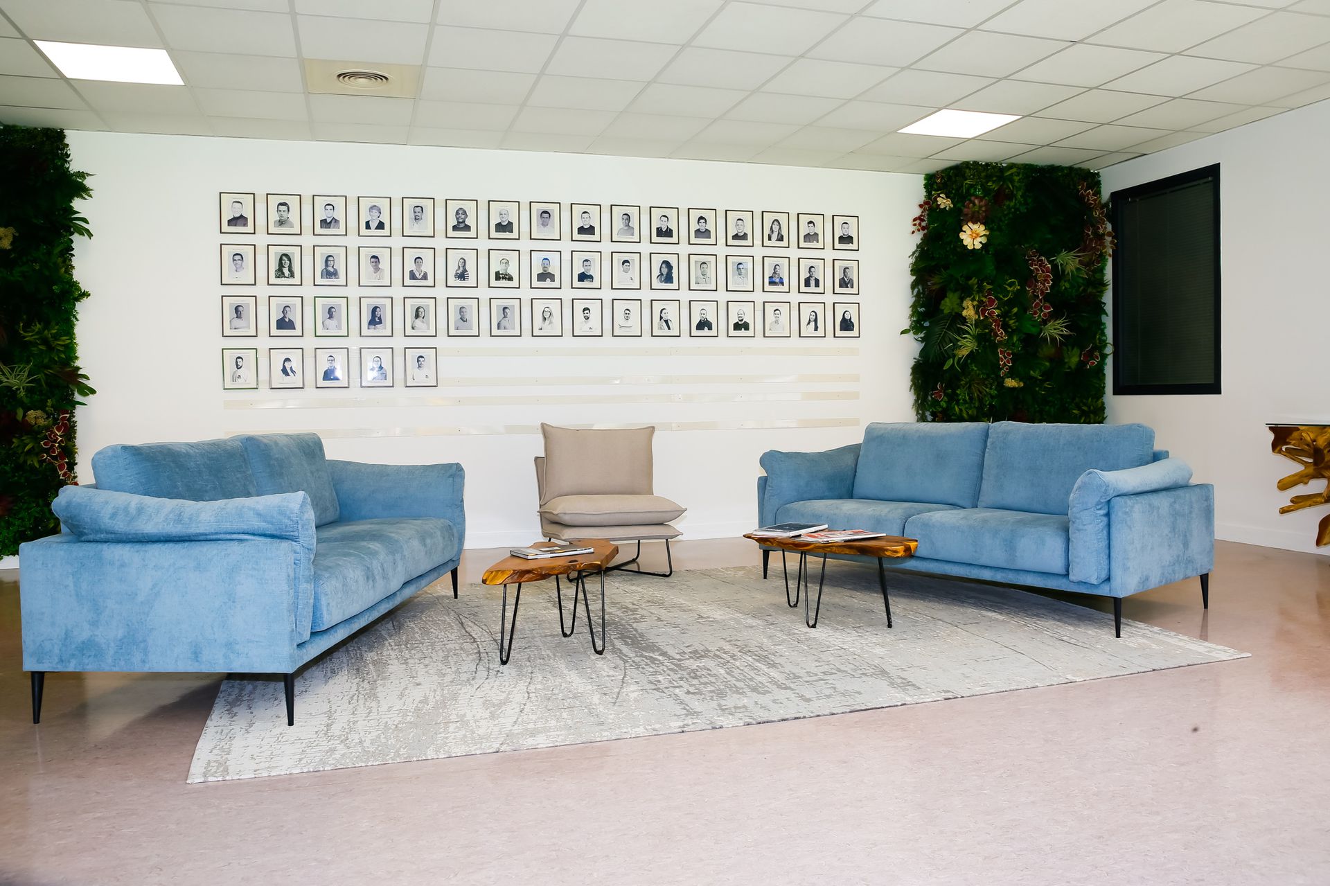 galerie image
