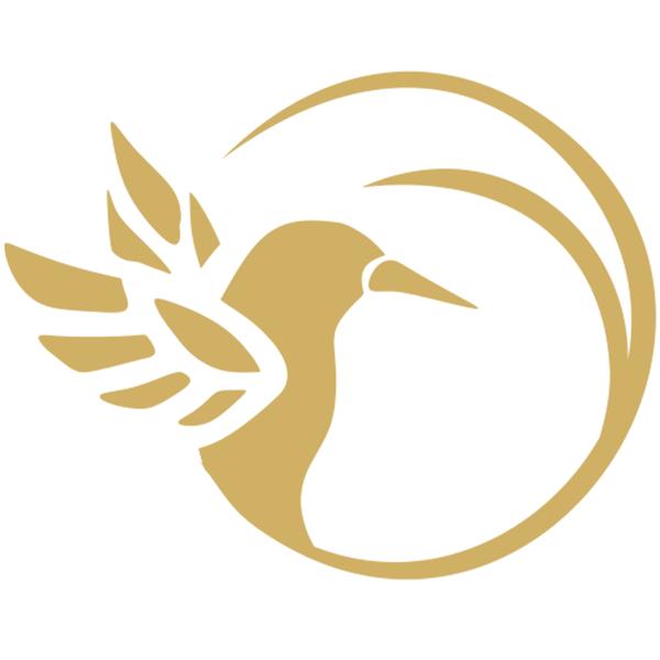 Achamana yoga (cours)