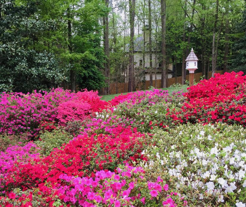 T Money Design - Franklin, TN