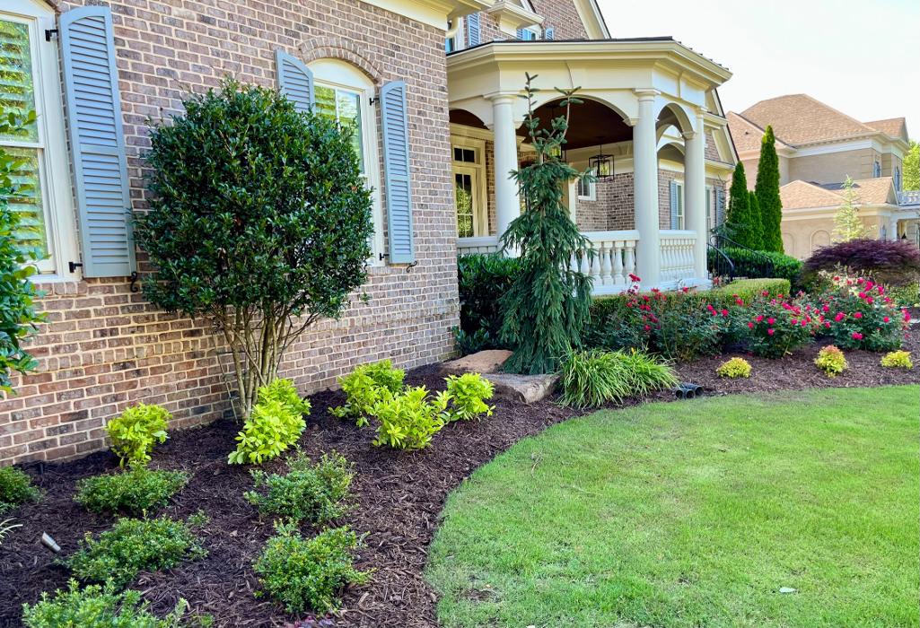 T Money Design - Franklin, TN