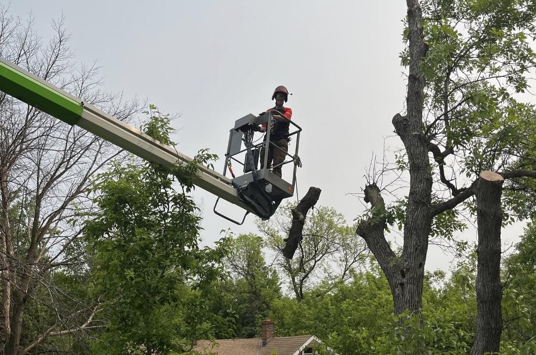 Haakon - Fergus Falls, MN