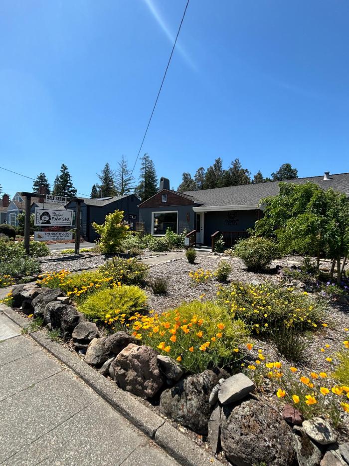 Sebastopol Paw Spa - Sebastopol, CA